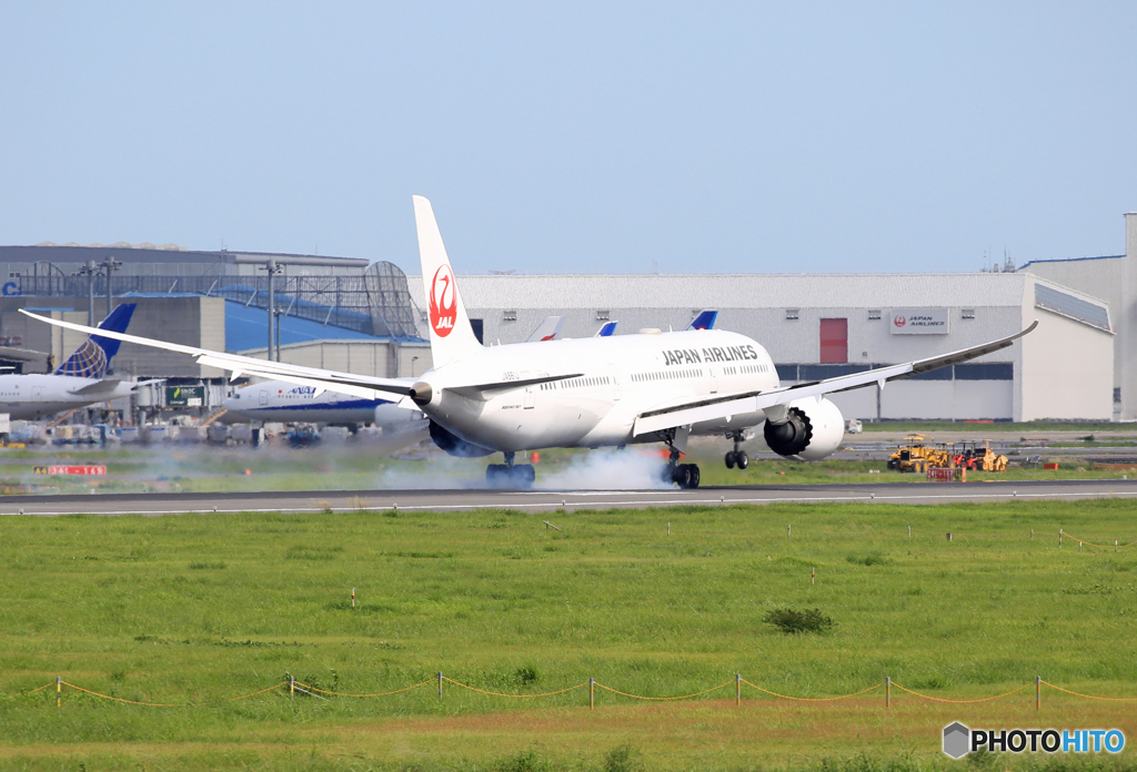 「ぶるー」 JAL 787-9 JA861J 到着です