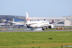 「ぶるー」 JAL 787-9 JA861J 到着です