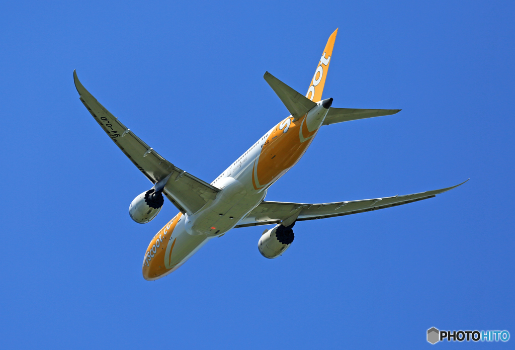 「スカイ」 scoot 787-9 9V-OJD 出発 