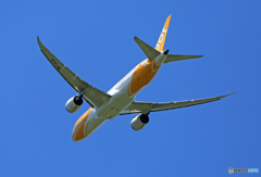 「スカイ」 scoot 787-9 9V-OJD 出発 