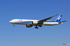 ☀「青い空」が一番ANA 777-381 JA785A到着