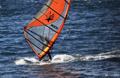 「すかい」ウインドサーフィン・今日も調子が良いね