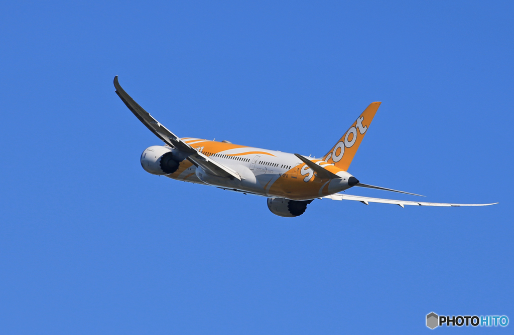 「青が好き」scoot 787-8 9V-OFA 良いお年をお迎えください
