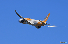 「青が好き」scoot 787-8 9V-OFA 良いお年をお迎えください