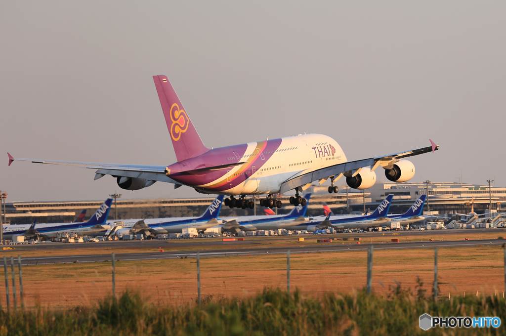 「青が好き」 THAI A380-841 HS-TUB Landing