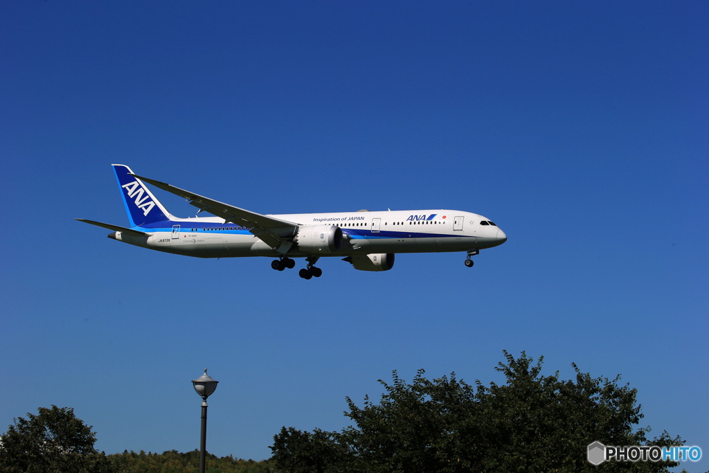 「青が好き」ANA 787-9 JA872A  Landing　
