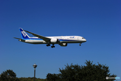 「青が好き」ANA 787-9 JA872A  Landing　