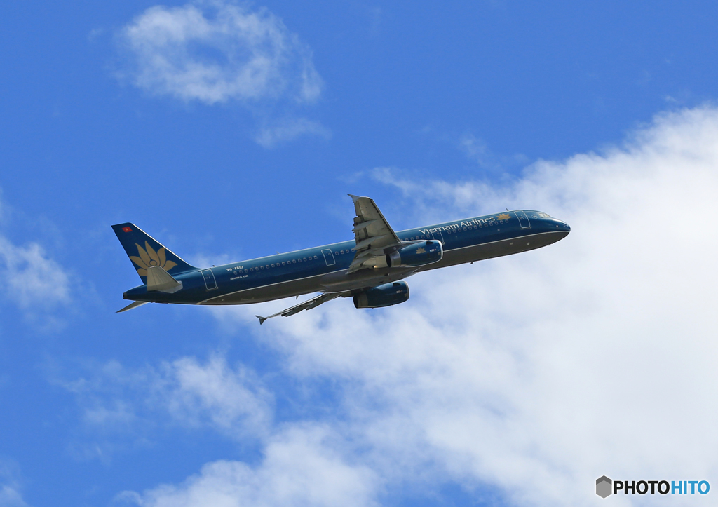「すかい」 Vietnam A321-231 VN-A610 飛ぶ