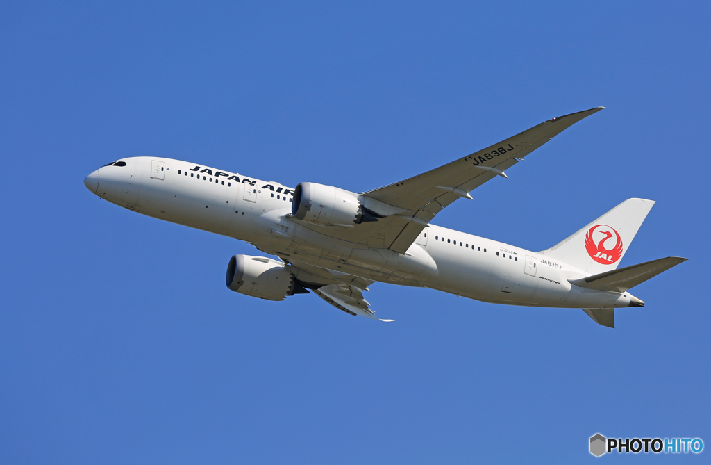 「青が好き」 JAL 787-8 JA836J Takeoff