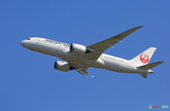 「青が好き」 JAL 787-8 JA836J Takeoff