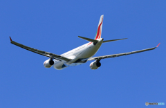「すかい」 SriLankan A330-343 4R-ALP 飛行 