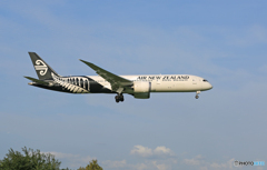 「そらー」 Air New Zealand B787-9 ZK-NZD