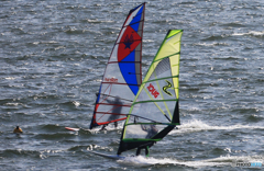 「青の空」　競　走　だ　ね