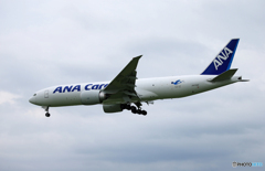 「くもり」ANA Cargo Bule 777-F  Landing