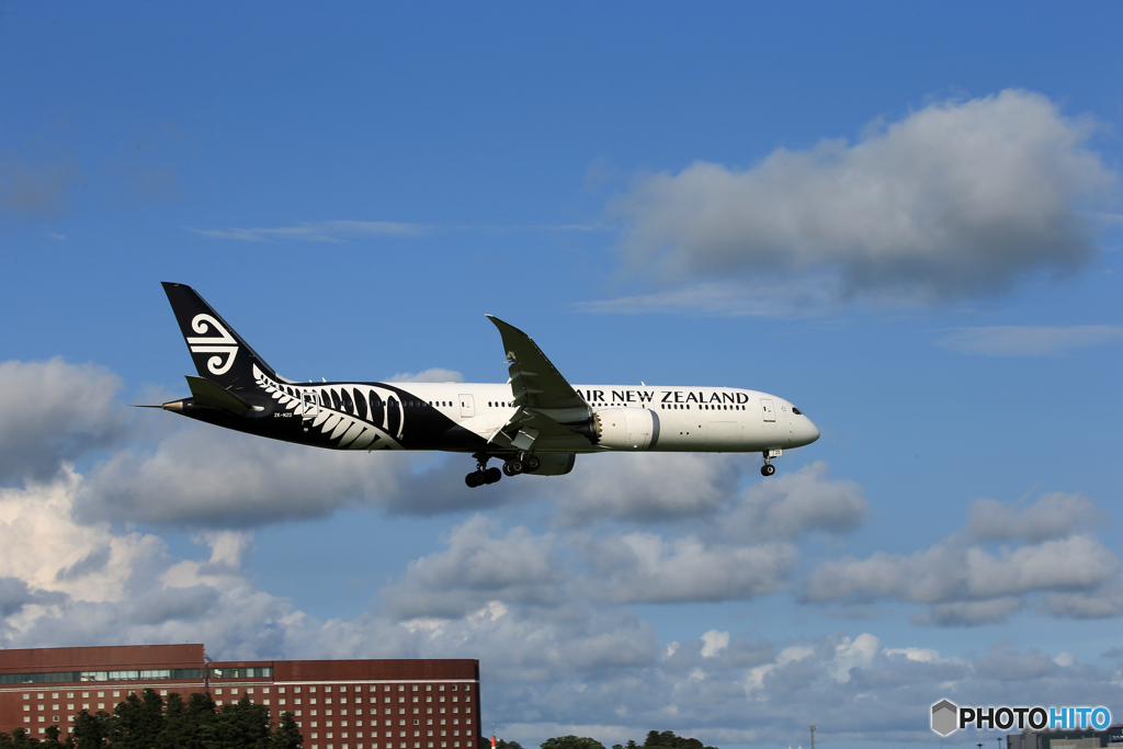 「青」 Air New Zealand B787-9 着陸です