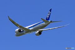 「すかい」 ANA 787-9 JA871A 飛行 