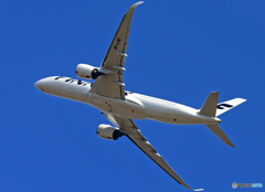 「青色」 Finnair A350-941 OH-LWD 飛ぶ