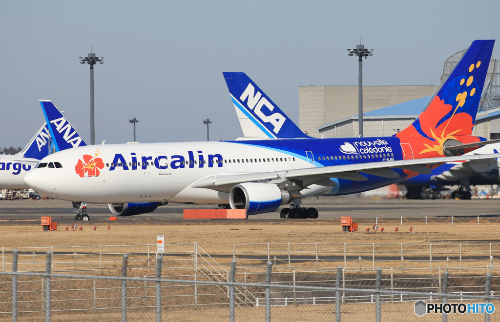  「青が好き」 Air Calin A330-202 Takeoff 