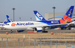  「青が好き」 Air Calin A330-202 Takeoff 