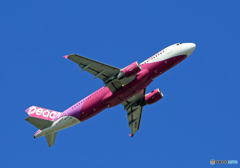 「すかい」 Peach A320-214 JA808P 出発