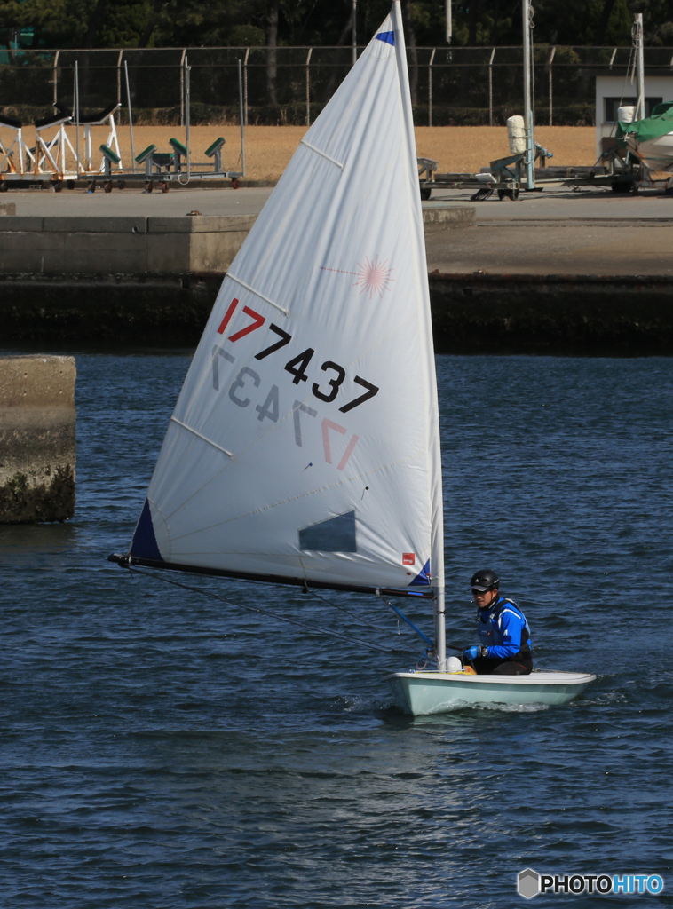 「クール」   ヨ　ッ　ト　の　日　か　な　
