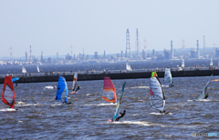 「淡い海」東京湾のフラワー