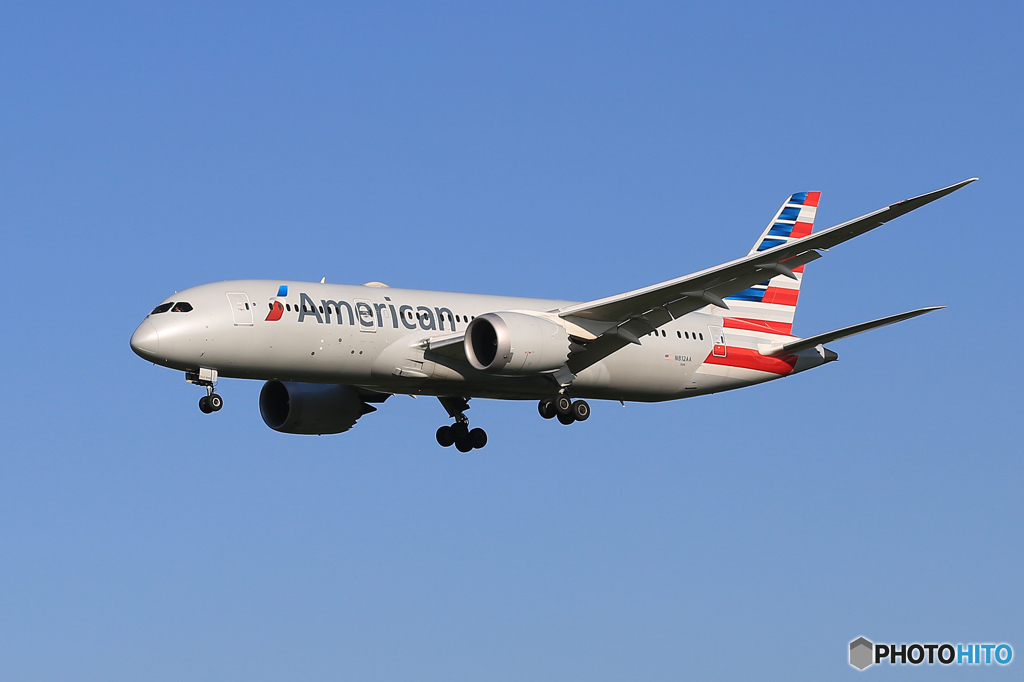 「青色が好き」 American 787-8 N812AA