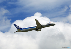 「あおぞら」 ANA 787-9 JA871A 出発