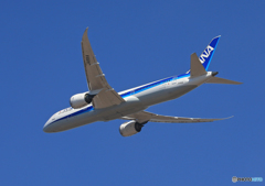 「真青の空」 ANA 787-9 JA891A 飛ぶ