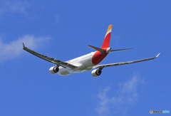 「ぶるー」 Iberia A330-203 EC-MLP 飛ぶ