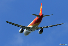 「SKY」 香港航空 A320-214 B-LPI 飛行