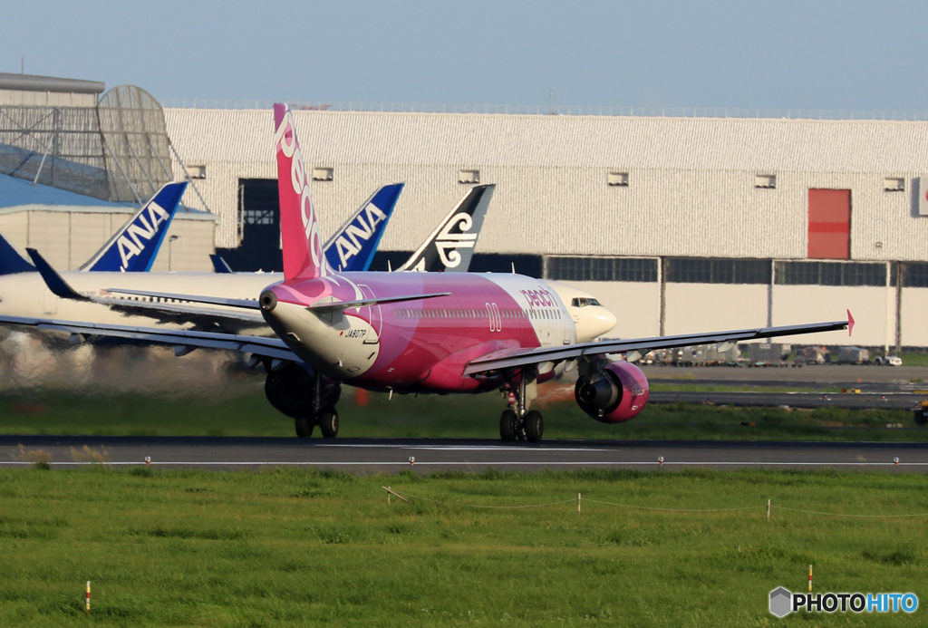 「青が好き」 Peach A320-214 JA807P 飛行
