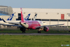 「青が好き」 Peach A320-214 JA807P 飛行