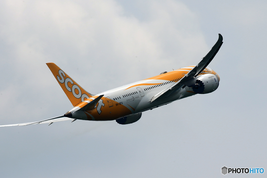 「青」 ? Scoot 787-8 9V-OFG Takeoff 