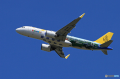 「平成」-「令和」ブルネイ王国 ロイヤル A320-251 V8-RBD特別塗装