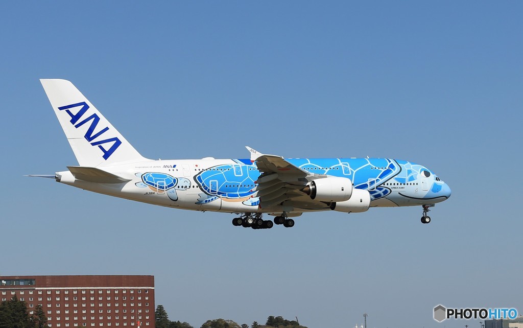 「晴れ」ANA JA381A 空飛ぶ海亀  通過