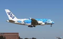 「晴れ」ANA JA381A 空飛ぶ海亀  通過