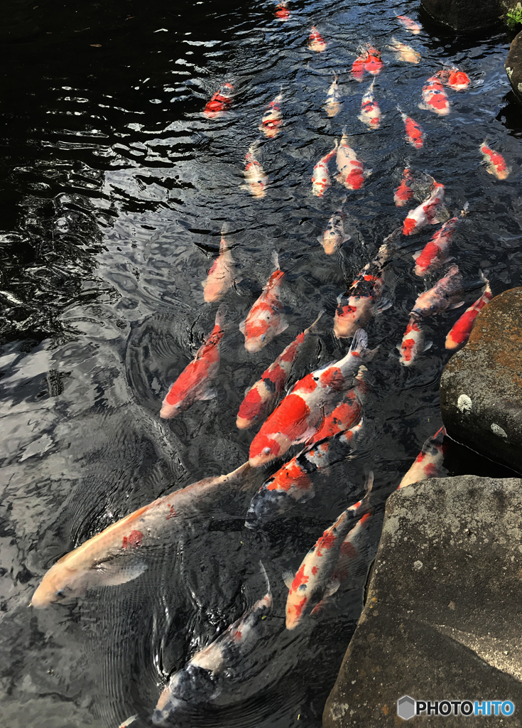 「スカイ」公園での恋　　皆んな　来〜い？