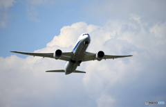 「青色が好き」ANA 787-9  JA897A  Takeoff  