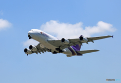 「青空」 THAI A380-841 HS-TUE Takeoff