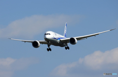 「良い天気」 ANA 787-8 JA823A着陸