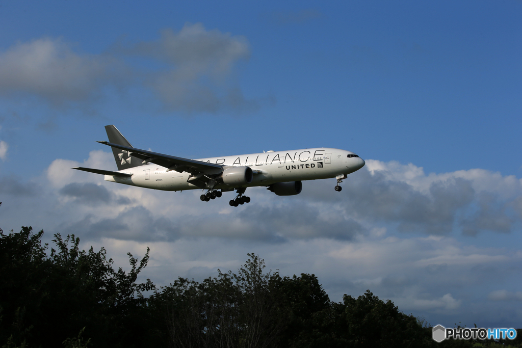 「青が好き」UNITED スタアラ N794UA Landing