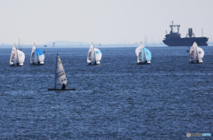 「蒼空」　船とヨットセーリング大会の風景