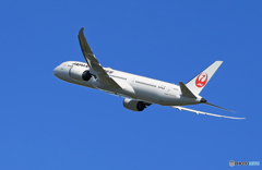 「群青色」JAL 787-9 JA868J  Takeoff