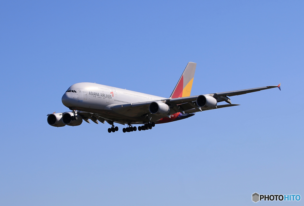 「蒼空」Asiana A380-841 HL7626 来た～あ