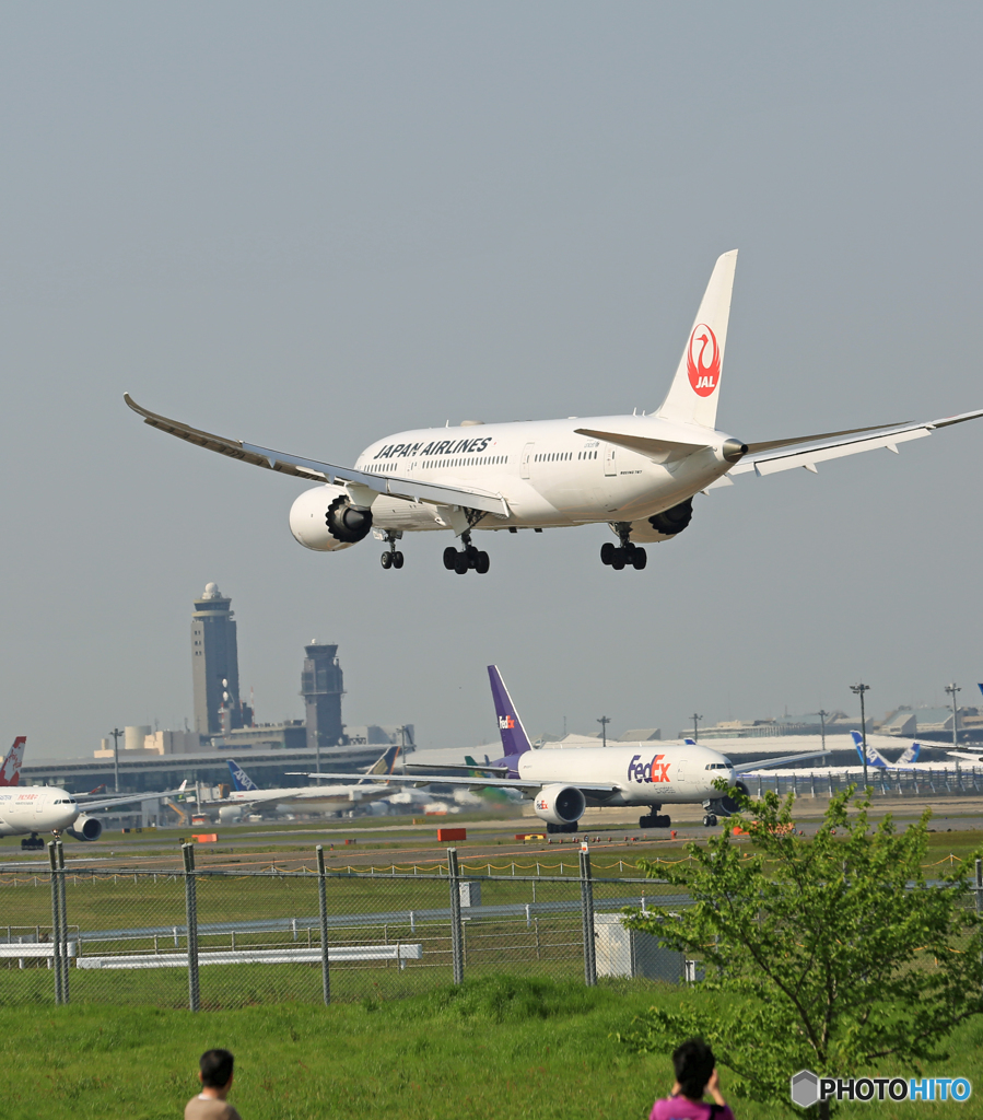 「はれ」 JAL 787-8 JA843J 着陸します