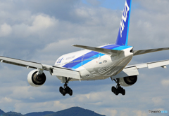 ☮伊丹空港に行って来ました ・ ☮お尻が!!!!!!