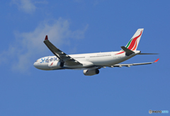 「青が好き」 SriLankan A330-343 4R-ALN 離陸 です