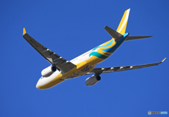 「青色」 CEBU A330-343 RP-C3341着陸です