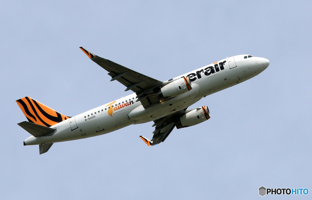 「青色が好き」 tigerair A320-232 B-50015 飛ぶ